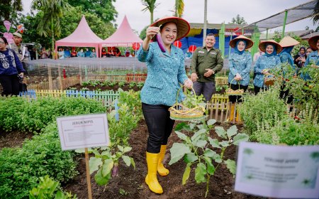 Airin Waas Tinjau dan Panen Sayuran di Taman Setia Sempakata