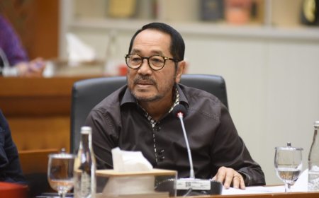 Pengelolaan Hutan Dinilai Berorientasi Keuntungan ketimbang Pelestarian Ekologi