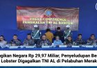 Rugikan Negara Rp 29,97 Miliar, Penyeludupan Benih Lobster Digagalkan TNI AL di Pelabuhan Merak
