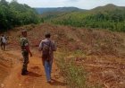 DPC GRIB Jaya Tapsel akan Kawal Kasus Dugaan Perusakan Lahan Ternak Warga Paluta