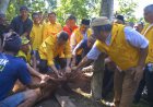 DPD Golkar Sumut Berkurban 110 Lembu dan 4 Kambing, Ijeck: InsyaAllah Tahun Depan Lebih Banyak Lagi