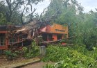 Pohon Tumbang Timpa Kantor Pos di Medan, Diduga Akibat Angin Kencang