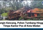 Angin Kencang, Pohon Tumbang Hingga Timpa Kantor Pos di Kota Medan
