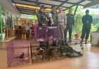 Penyelundupan 334 Burung Tanpa Dokumen dari Payakumbuh Digagalkan di Pelabuhan Merak