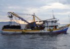 KKP Tangkap 2 Kapal Filipina Maling Ikan