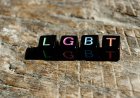 Gerebek Pesta Seks Gay di Puncak, Polisi Tangkap 75 Pelaku
