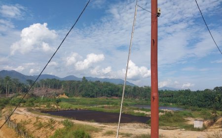 Timbulkan Pencemaran Lingkungan, PT DMS Terancam Ditutup