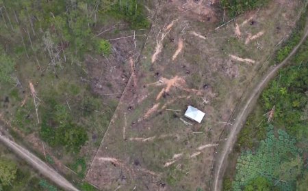 Status Geopark di Ujung Tanduk di Tengah Pembalakan Hutan Samosir