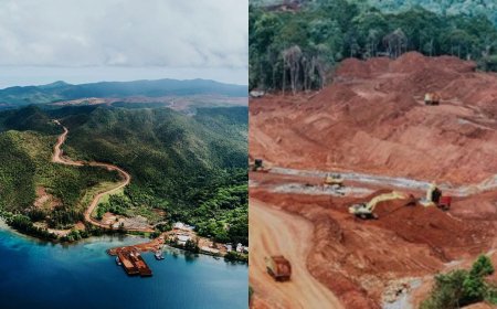 Tambang Nikel Bukan Sekadar Logam, Ini Dampak dan Masa Depannya untuk Indonesia