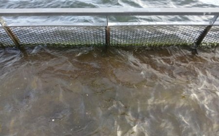 Fenomena Mengejutkan Air Danau Toba Berubah Warna dan Keruh, Ini Kata Warga Sekitar