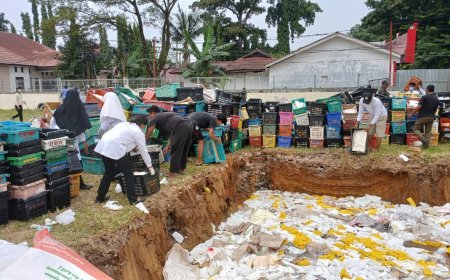 14,6 Ton Mangga Ilegal Thailand Senilai Rp730 Juta Dimusnahkan