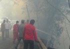 Kebakaran Hutan Pinus Tele Ganggu Pengguna Jalan dan Wisatawan yang Berlibur Ke Samosir