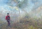 25 Hektare Hutan Pinus di Samosir Kembali Terbakar