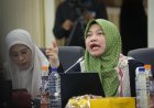 Perludem: Tindak Lanjut Putusan MK Ada di Tangan Pembentuk UU