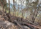 Jelang Penilaian Kelayakaan Geopark Kaldera Toba, Ovi Samosir: Apa yang Telah Kita Berikan Terhadap Kaldera Toba?