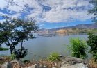 Musim Kemarau, Air Danau Toba Menguning dan Keruh