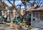 Puluhan Rumah di Putri Hijau Medan Ludes Terbakar