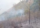 Lagi dan Lagi, Hutan & Lahan Samosir Terbakar