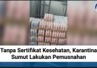Tanpa Sertifikat Kesehatan, Karantina Sumut Lakukan Pemusnahan