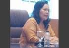Rosdiana Sijabat: BUMN Pilar Penting Ekonomi Nasional