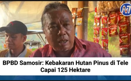 BPBD Samosir: Kebakaran Hutan Pinus di Tele Capai 125 Hektare