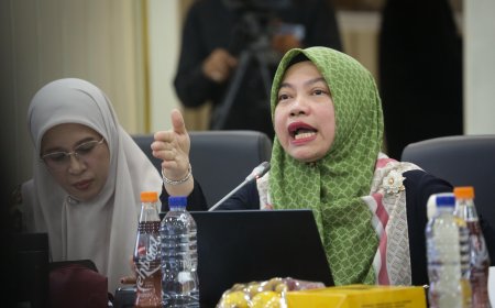 Perludem: Tindak Lanjut Putusan MK Ada di Tangan Pembentuk UU