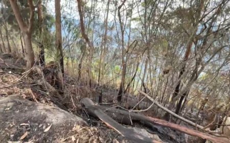 Jelang Penilaian Kelayakaan Geopark Kaldera Toba, Ovi Samosir: Apa yang Telah Kita Berikan Terhadap Kaldera Toba?