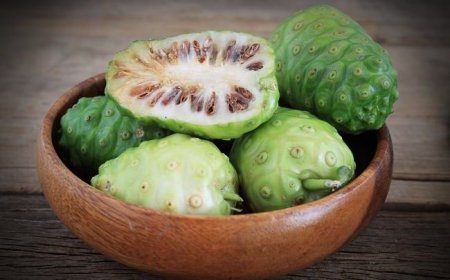 10 Manfaat Buah Mengkudu bagi Tubuh: Kesehatan Hingga Cocok Untuk Kecantikan