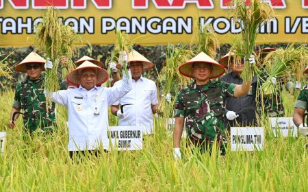 106 Hektare Lahan Eks Perkebunan jadi Sentra Pangan di Sumut, Panglima TNI Panen Padi hingga Palawija untuk Dukung Ketahanan Pangan Nasional