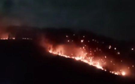 Hutan Tele Samosir Kembali Terbakar, Warga Harapkan Turun Hujan