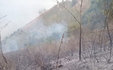 Lagi dan Lagi, Hutan & Lahan Samosir Terbakar