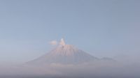 Gunung Semeru Erupsi, Kolom Abu Menjulang 700 Meter
