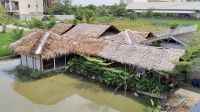 Pengunjung Lakukan Aksi Teror ke Warga, Camat Medan Selayang Surati Satpol PP Tindak Kafe Tuak Tak Berizin
