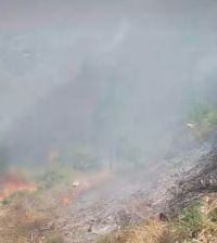 Pepohonan di Objek Wisata Bukit Holbung Samosir Gosong Dilahap Si Jago Merah