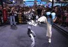 Konferensi Robot Dunia Ungkap 10 Skenario Aplikasi Paling Menjanjikan untuk Robot Humanoid