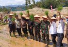 Didukung TNI, Koptan Saroha Sulap Bekas Tambang Emas Ilegal Jadi Sawah Produktif