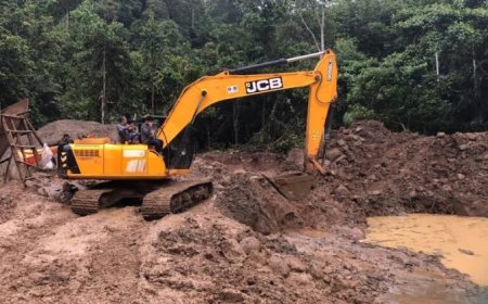 Patroli TNBG Keluar, PETI Kembali Beraktivitas di Aek Bontar TNBG