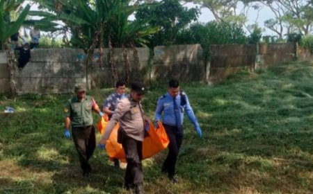 Penemuan Kerangka Manusia di Bawah Pohon di Deliserdang Gegerkan Warga