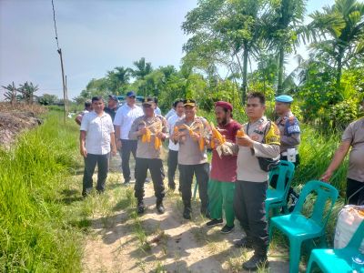 Polsek Medan Barat Panen Raya Jagung Serentak