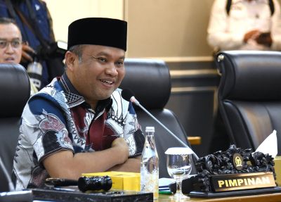 DPR, Kedaulatan Rakyat dan  Demokrasi Substansial