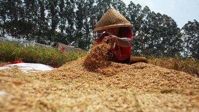 55 Petani Jadi Korban Kekerasan Sepanjang 2025, KontraS Sumut: Negara Abai