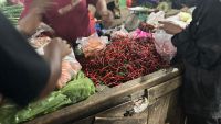 Pengamat: Pasokan Cabai Merah Tertekan dan Bikin Masyarakat Terbebani Harga yang Tinggi