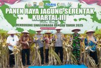 Wakapolda Sumut Panen Raya Jagung Kuartal III di Deliserdang, Estimasi Capai 323,14 ton
