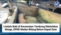 Limbah Babi di Kecamatan Tembung Dikeluhkan Warga, DPRD Medan Bilang Belum Dapat Data