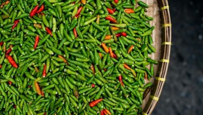 Petani Humbahas dan Buruh Medan Bangun Jaringan Ekonomi Rakyat: Jual Hasil Tani Dengan Harga Murah