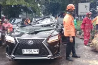 Pengemudi Mobil Lexus Tewas Tertimpa Pohon