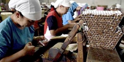 Sumbang Ratusan Triliun ke Kas Negara Industri Tembakau Terhimpit Ratusan Aturan