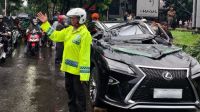 Pengendara Lexus Tewas Tertimpa Pohon di Jakarta Selatan, Pemprov DKI Sampaikan Belasungkawa