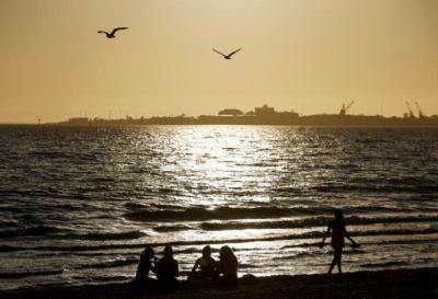 Tanda-Tanda Flu Burung Mematikan Terdeteksi di Pulau Sub-Antarktika Australia