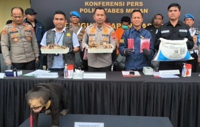 Polrestabes Medan Gagalkan Penjualan 13 Kg Sisik Trenggiling